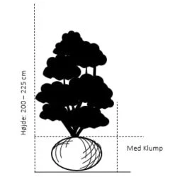 Fremhævede Produkter -Osmo Salgsbutik 133 med klump 200 225 cm e4b6 1
