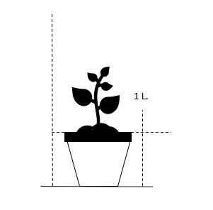 Anis Isop 'Blue Fortune' Agastache Foeniculum 'Blue Fortune' 1 Liter Potte 2 Anis Isop 'Blue Fortune' Agastache Foeniculum 'Blue Fortune' 1 Liter Potte - Billede 2