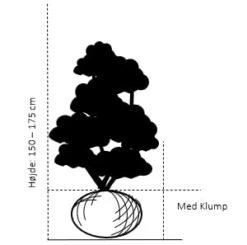 Fremhævede Produkter -Osmo Salgsbutik 363 med klump 150 175 cm 03e4 11