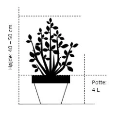 Fremhævede Produkter -Osmo Salgsbutik 713 potte 4 0 liter 40 50 cm 998e 1