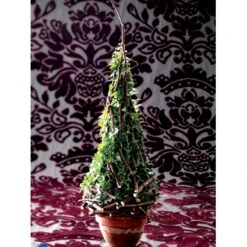 Småbladet Efeu Hedera Helix Potte 2,0 Liter,- Opbundet -Osmo Salgsbutik fi5896 hedera helix 5704