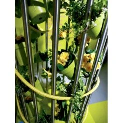 Småbladet Efeu Hedera Helix Potte 2,0 Liter,- Opbundet -Osmo Salgsbutik fi5896 hedera helix ead7