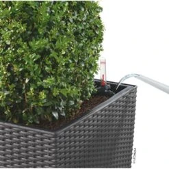 Osmo CUBE - Granitfarvet Flet Lechuza CUBE - Granitfarvet Flet Model 30, Flet -Osmo Salgsbutik p19346 11660 cube firkantet krukke 295f