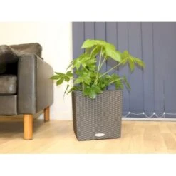 Osmo CUBE - Granitfarvet Flet Lechuza CUBE - Granitfarvet Flet Model 30, Flet -Osmo Salgsbutik p19346 36832 lechuza cube charcoal metallic flet 451b