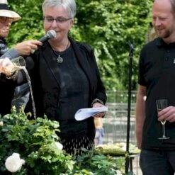 'Friheden'™ Rosa X 'Friheden'™ (Buketrose) A-Kvalitet,- Barrods Roser Min. 3 Grene -Osmo Salgsbutik p19464 51279 rosa x friheden buketrose a0a1