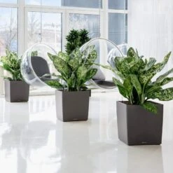 Osmo CUBE - Charcoal Metallic Lechuza CUBE - Charcoal Metallic Model 30, Glat -Osmo Salgsbutik p35081 35679 lechuza cube charcoal metallic 2187