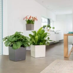 Osmo CUBE - Hvid Lechuza CUBE - Hvid Model 30, Glat -Osmo Salgsbutik p35082 35683 lechuza cube hvid 90a1