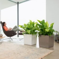 Osmo CUBE - Hvid Lechuza CUBE - Hvid Model 30, Glat -Osmo Salgsbutik p35082 35685 lechuza cube hvid 3b87