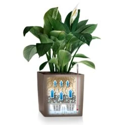 Osmo CUBE - Hvid Lechuza CUBE - Hvid Model 30, Glat -Osmo Salgsbutik p35082 35686 lechuza cube hvid ee95