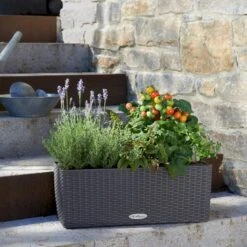 Osmo Balconera Altankasse - Granit Flet Lechuza Balconera Altankasse Granit Flet Model 50, Flet -Osmo Salgsbutik p35104 35900 lechuza balconera altankasse granit flet c147