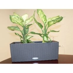 Osmo Balconera Altankasse - Granit Flet Lechuza Balconera Altankasse Granit Flet Model 50, Flet -Osmo Salgsbutik p35104 36830 lechuza balconera altankasse granit flet e90c