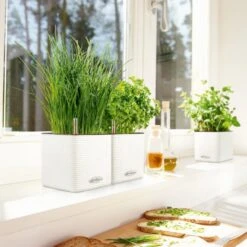 Osmo CUBE - Color Lechuza CUBE Color Model 14, Flet -Osmo Salgsbutik p35105 35954 lechuza cube hvid color 37d6