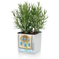 Osmo CUBE Mini - Granit Lechuza CUBE Mini - Granitfarvet Model 14, Flet -Osmo Salgsbutik p35106 35950 lechuza cube granit color 5c92