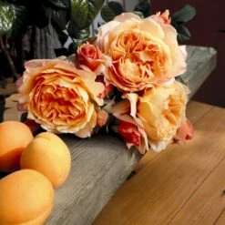 'Capri'® Rosa X 'Capri'® (Storblomstrende) A-Kvalitet,- Barrods Roser Min. 3 Grene -Osmo Salgsbutik p35323 53968 rosa x capri storblomstrende 595a