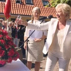 'Birthe Kjær™ Renaissance'® Rosa X 'Birthe Kjær™ Renaissance'® (Renaissancerose) A-Kvalitet,- Barrods Roser Min. 3 Grene -Osmo Salgsbutik p35345 52118 rosa x birthe kjaer renaissance renaissancerose 876e