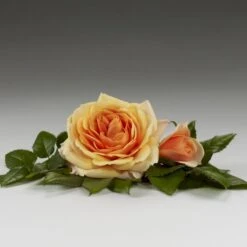 'Sarai™ Hit'® Rosa X 'Sarai™ Hit'® (Miniaturerose) A-Kvalitet,- Barrods Roser Min. 3 Grene -Osmo Salgsbutik p35436 52057 rosa x sarai hit miniaturerose 7fbd