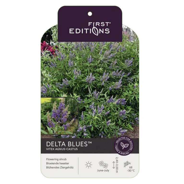 Vitex Agnus-Castus 'Delta Blues' Vitex Agnus-cactus 'Delta Blues' Potte 3,5 Liter,- 30-50 Cm. 1 Vitex Agnus-Castus 'Delta Blues' Vitex Agnus-cactus 'Delta Blues' Potte 3,5 Liter,- 30-50 Cm.