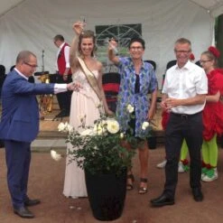 'So Much Love'™ Rosa X 'So Much Love'™ (Slyngrose) A-Kvalitet,- Barrods Roser Min. 3 Grene