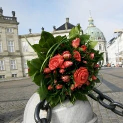 'Prinsesse Marie' Rosa X 'Prinsesse Marie' (Storblomstrende) A-Kvalitet,- Barrods Roser Min. 3 Grene -Osmo Salgsbutik p5265 51362 rosa x prinsesse marie storblomstrende 75a7