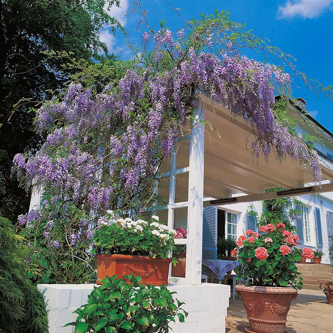 Forside -Osmo Salgsbutik 1 21e56d3c 73f5 4dd3 a9ce 600751aae175